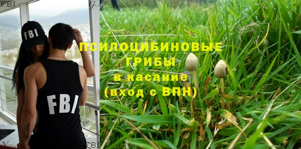 СК Абаза