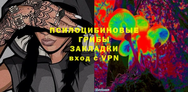 шишки Заволжье