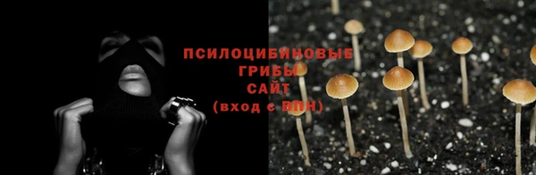крисы Заводоуковск
