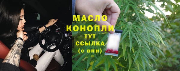 шишки Заволжье